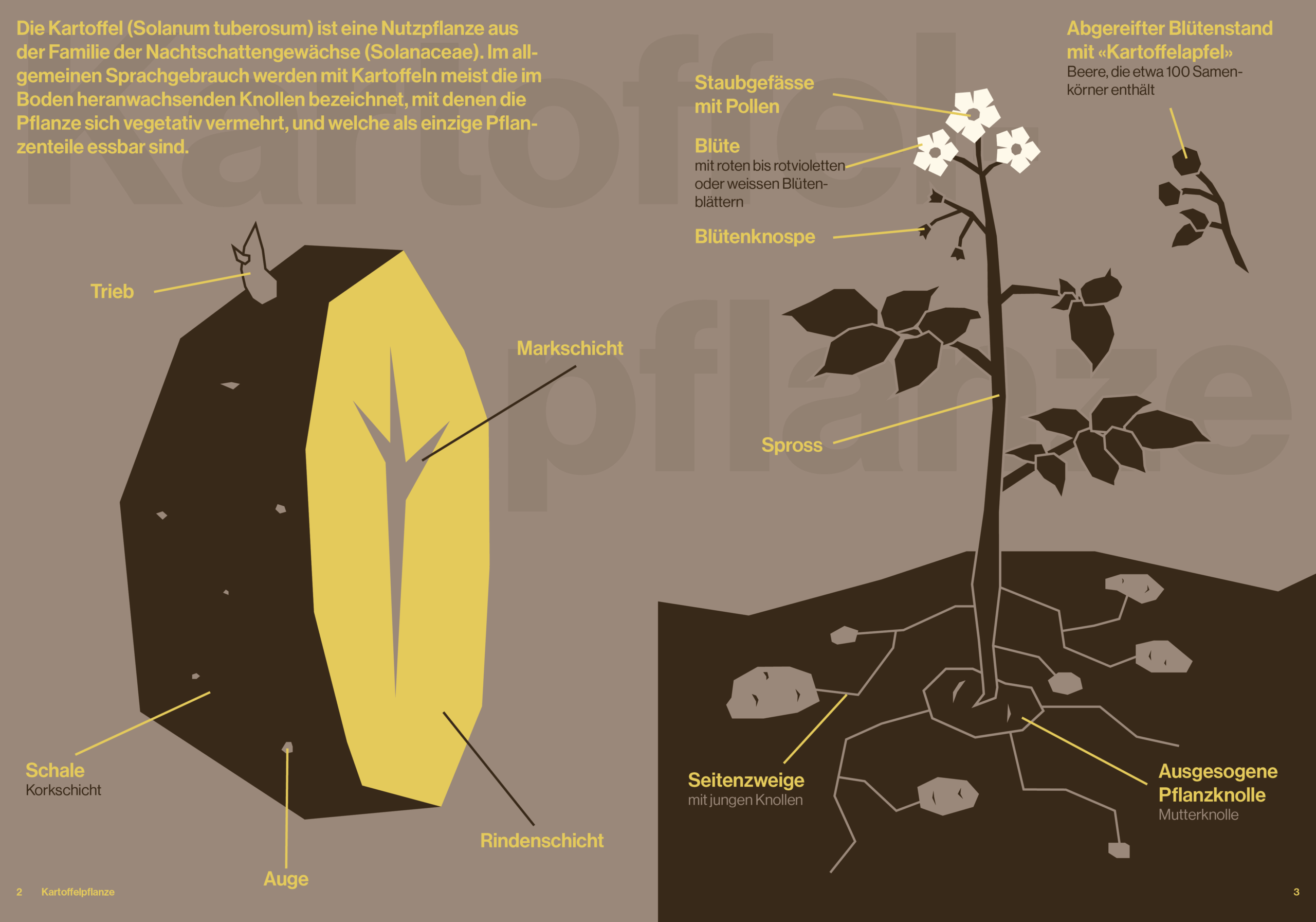 Härdöpfel_Final_Booklet_02-03