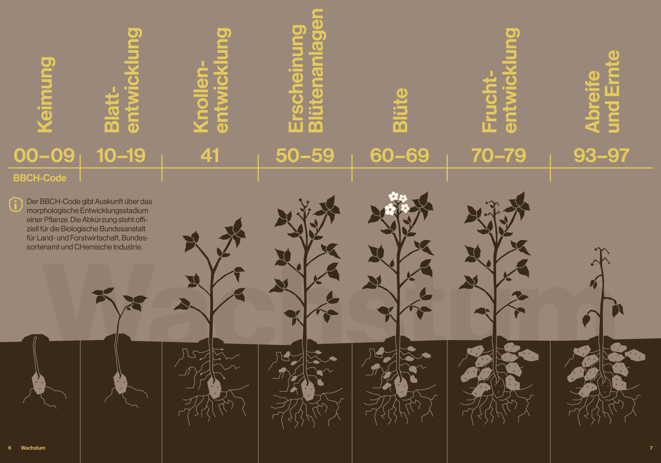 Härdöpfel_Final_Booklet_06-07